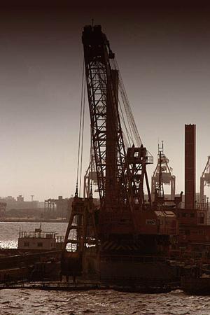 タテールなどのレンタル会社について