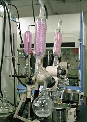 豊富なかき氷器・関連備品を販売するお店